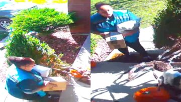 Epic-Jumping-Spider-Prank-on-Amazon-Driver-Hilarity-Ensues.jpg