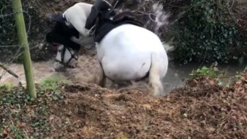 Equestrian-Antics-A-Confident-Rider-Takes-a-Splash-Try.jpg