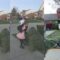 Hilarious Bush Surprise: Trick or Treating Takes a Turn! | Try Not to Laugh