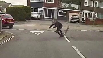 Hilarious-Scooter-Slip-ups-That-Will-Leave-You-in-Stitches.jpg