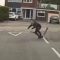 Hilarious Scooter Slip-ups That Will Leave You in Stitches! | Try Not to Laugh