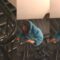 Hilarious Sliding Fail: Girl Rides the Rail and Goes Off the Rails! | Try Not to Laugh