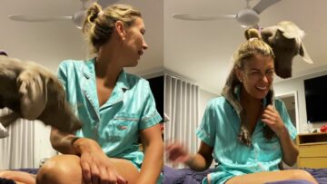 Owner-Hilariously-Calls-Dogs-Name-While-Right-Next-to-Them.jpg