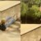 Rail Grind Gone Wrong: Epic Skateboarding Fail That Will Leave You in Hysterics! | Try Not to Laugh