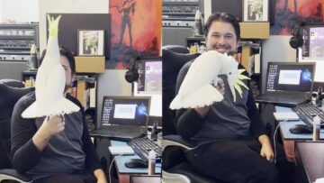 Watch-This-Adorable-Cockatoo-Bust-a-Move-to-Rap-Rock.jpg