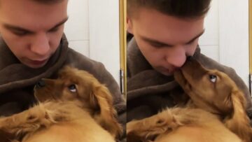 Watch-as-this-adorable-dog-melts-hearts-with-The-Loving.jpg