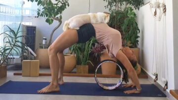 Adorable-Cat-joins-Owner-for-Yoga-Unique-Bonding-Moment.jpg