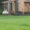 Adorable Dog Dives into Playtime with Playful Turkeys! A Joyful Farm Adventure | Heartwarming