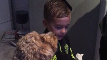 Adorable-Dogpatiently-Waits-Her-Turn-While-Owners-Brush-the-Childs.jpg