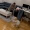 After 2 Years Apart, Woman Surprises BFF in Serbia – Watch Her Hilarious Reaction! | Viral Prank