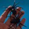 Arachno-Whoops! Partner’s Prank Leaves Arachnophobic Man in Hysterics! | Try Not to Laugh