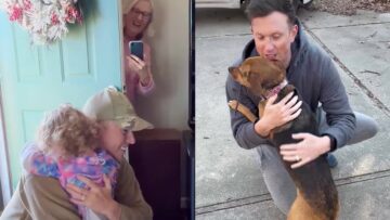 Army-Mans-Touching-Reunion-with-His-Toddler-Pups-Expecting.jpg