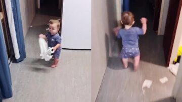 Baby-hilariously-runs-after-caught-destroying-toilet-paper-Super.jpg