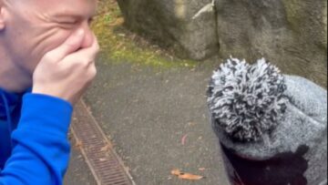 Babys-Joyful-Attempt-to-Say-Penguins-at-the-Zoo-Will.jpg