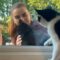 Cat’s Jealous Reaction to Neighbor’s Kitty Getting Affection | Adorable