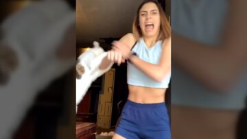 Cats-hilarious-attack-interrupts-TikTok-dance-Super-Cute.jpg