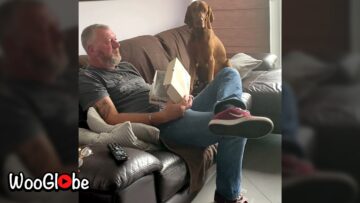 Dogs-Adorable-Reaction-To-Disappointing-Food-Super-Cute.jpg