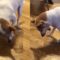 Epic Doggo’s Cup Challenge Fail Will Leave You in Tears | Try Not to Laugh!