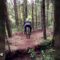 Epic MTB Downhill Fails: Gravity Really Knows How to Party! | Try Not to Laugh