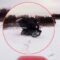 Epic Motorcycle Snow Drifting Fails: Slips, Slides, and Laughs Await! | Try Not to Laugh