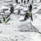 Epic Snow Skiing Blunders That Will Have You Rolling on the Floor! | Try Not to Laugh