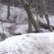Epic Stunt Rider’s Mid-Air Mishap Leads to HILARIOUS Bike Fail | Try Not to Laugh!