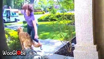 Epic-Tumble-Woman-Takes-an-Unplanned-Dive-over-Dog.jpg