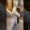 Ferret’s Epic Tube Adventure | Exciting pursuit through twists and turns | Super Cute