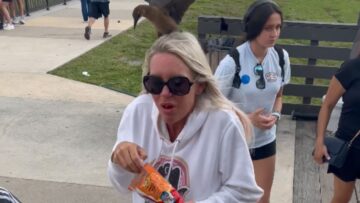From-Gators-to-Goosebumps-A-Girls-Everglades-Adventure-Turns-Hilariously.jpg