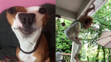 Get-Ready-to-Giggle-Hilarious-TikTok-Moments-That-Will-Keep.jpg