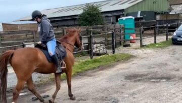 Girls-Hilarious-Backward-Ride-Ends-in-a-Horse-Sized-Surprise.jpg