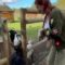 Goats Go Wild: The Day I Discovered They’re Not into Friendship! | Try Not to Laugh