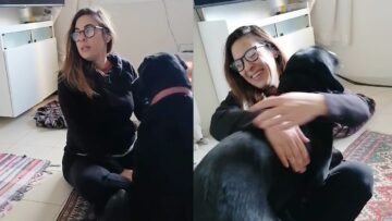 Heartfelt-Moments-Calling-Your-Dogs-Name-with-Joy-Right-Next.jpg