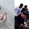 Heroes Unite: Brave Souls Rescue Dog from Raging Floods | Heartwarming