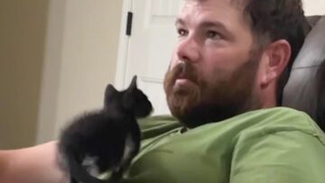 Husbands-Transformation-From-Skeptic-to-Cat-Lover-Super-Cute.jpg