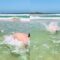 Inspiring Girl’s Backflip Adventure Takes an Unexpected Turn | Heartsome