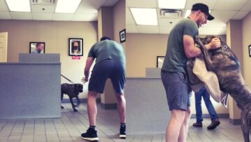 Joyful-Dogs-Over-the-Top-Reunion-with-Owner-Will-Melt-Your-Heart.jpg