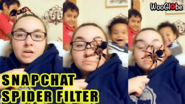 Kids-Meet-Their-New-Eight-Legged-Friend-Hilarious-Snap-Chat-Spider.jpg