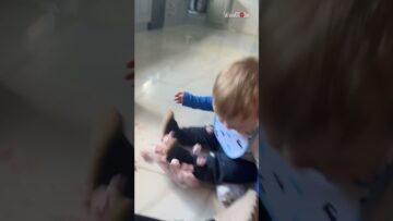 Little-boy-adorably-falls-off-meringues-in-the-kitchen.jpg