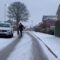 Man and XL Bully Meet Icy Road: A Slip and Slide Showdown! | Try Not to Laugh