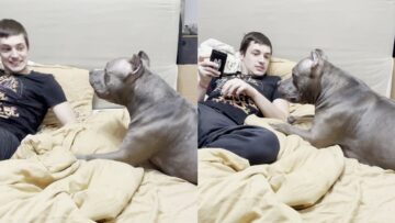 Meet-the-Super-Mad-Dog-Demanding-Your-Attention-–-Can.jpg