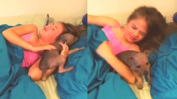 Mom-Dads-Sweet-Surprise-A-Puppy-to-Warm-Their.jpg