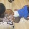 Mom Discovers Son’s Sweet Adventure in a Chocolate Puddle: A Slice of Joy! | Heartwarming