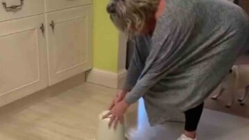 Mom-and-Daughters-Epic-Mouse-Prank-on-Dad-Will-Leave.jpg