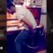 Piano Playing Gone Hilariously Wrong! Can You Keep a Straight Face? | Try Not to Laugh!