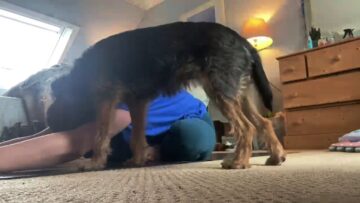 Playful-Pup-Steals-the-Show-During-Yoga-Time-A.jpg