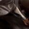 Playful Raccoon teases sleeping Dobermann | Hilarious antics | Adorable