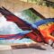 Prepare to Be Amazed: Street Artist Creates Mind-Blowing 3D Parrot Mural! | Super Viral