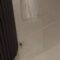 Spider Frenzy: Couple’s Hilarious Panic in Epic Invasion! | Try Not to Laugh
