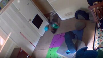 Toddlers-Epic-Tantrum-Backfires-with-Hilarious-Slip-Fall.jpg